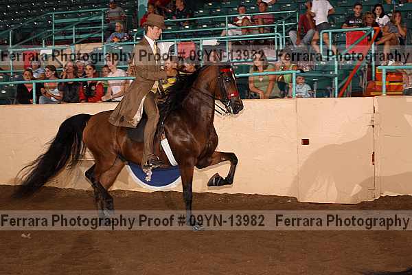 Proof 09yn-13982