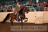 09yn-13982 proof