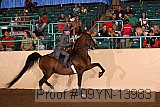 09yn-13983 proof