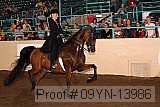 09yn-13986 proof