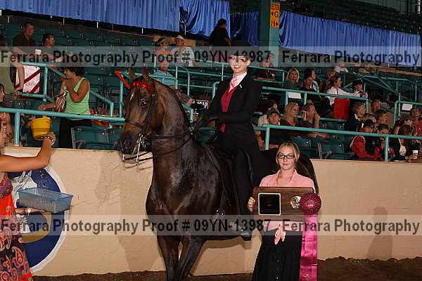 Proof 09yn-13987