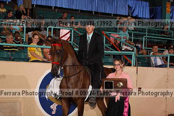 Proof 09yn-13992