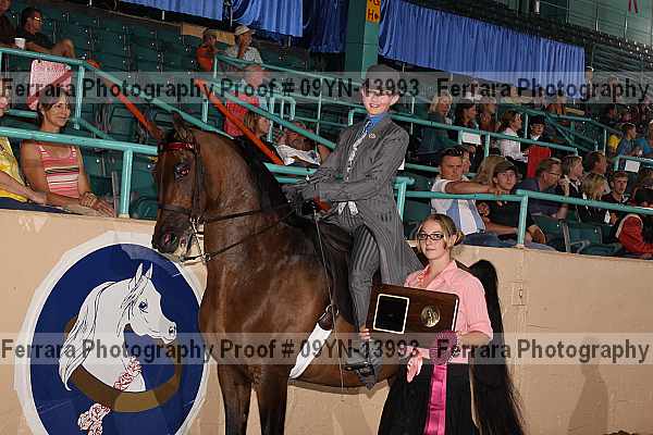 Proof 09yn-13993
