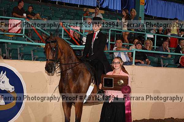 Proof 09yn-13994