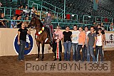 09yn-13996 proof