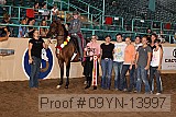 09yn-13997 proof