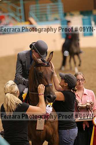 Proof 09yn-14004