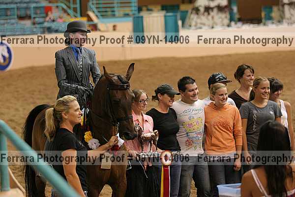 Proof 09yn-14006