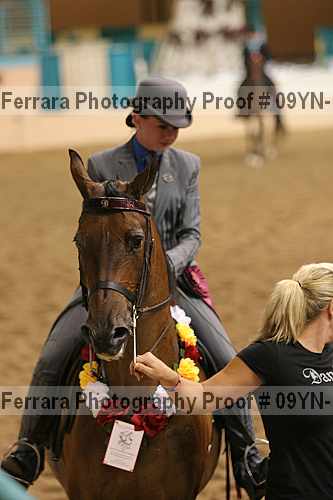 Proof 09yn-14007