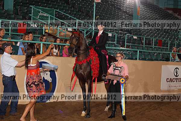 Proof 09yn-14012