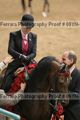 Proof 09yn-14018