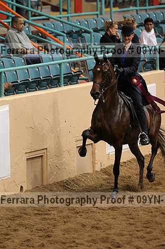 Proof 09yn-14021