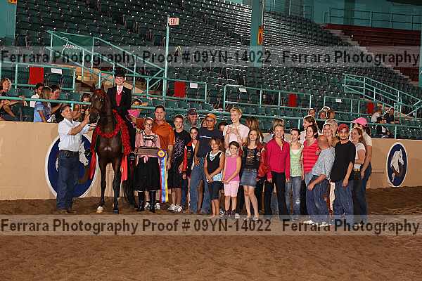 Proof 09yn-14022