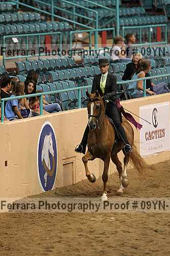 Proof 09yn-14024