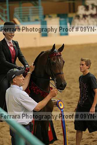 Proof 09yn-14026