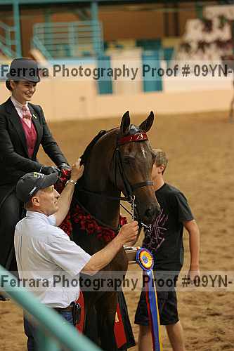 Proof 09yn-14027