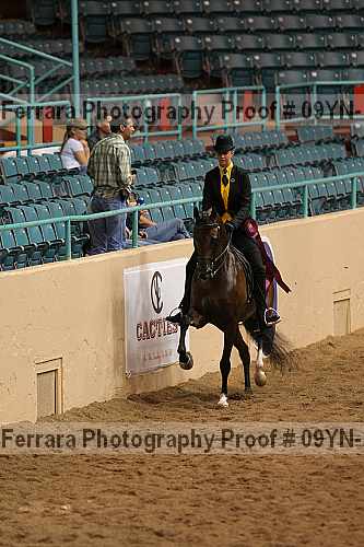 Proof 09yn-14028