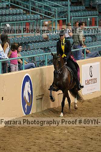 Proof 09yn-14029