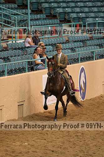 Proof 09yn-14031