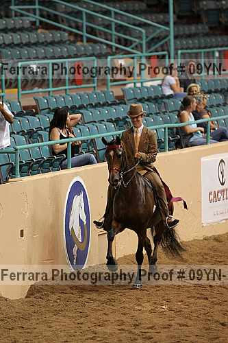 Proof 09yn-14032