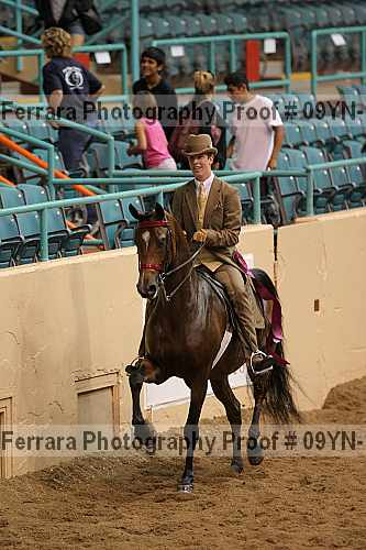 Proof 09yn-14033