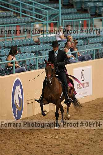Proof 09yn-14034