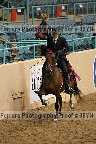 Proof 09yn-14035