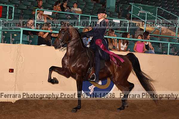 Proof 09yn-14036