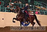 09yn-14036 proof