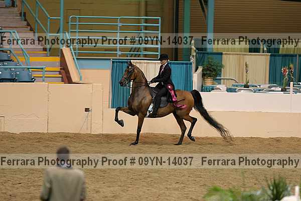 Proof 09yn-14037