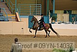 09yn-14037 proof