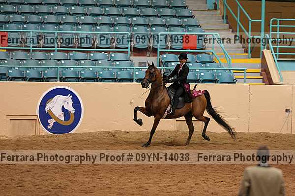 Proof 09yn-14038