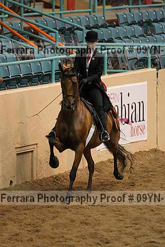 Proof 09yn-14040