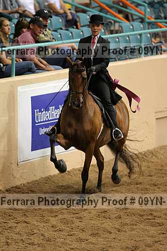 Proof 09yn-14041