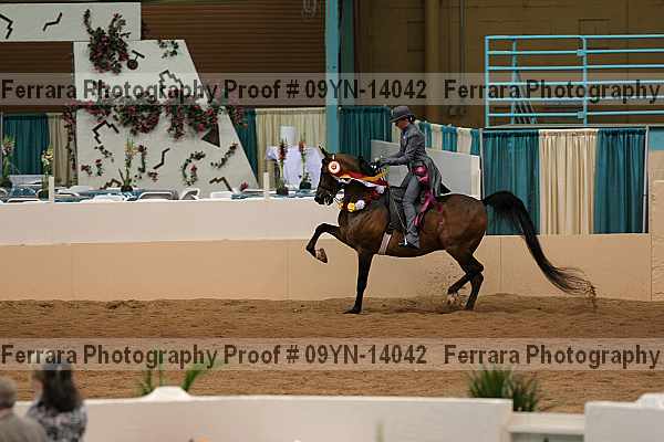 Proof 09yn-14042
