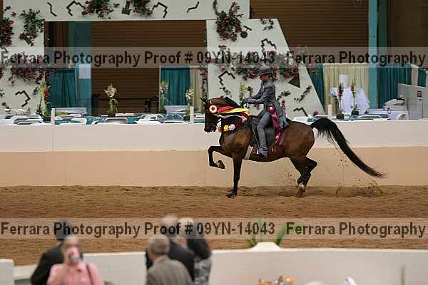 Proof 09yn-14043