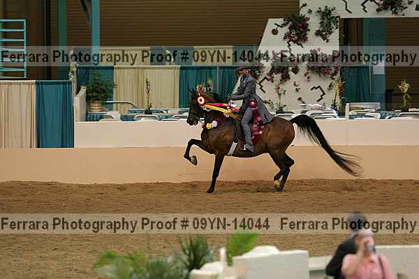 Proof 09yn-14044