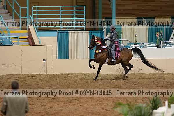 Proof 09yn-14045