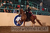 09yn-14047 proof