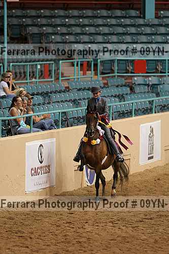 Proof 09yn-14048
