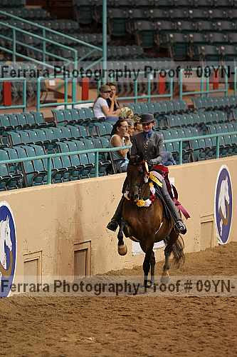 Proof 09yn-14049