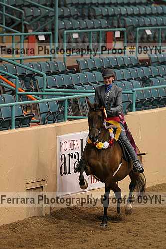 Proof 09yn-14051