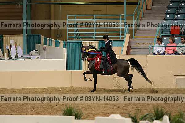 Proof 09yn-14053
