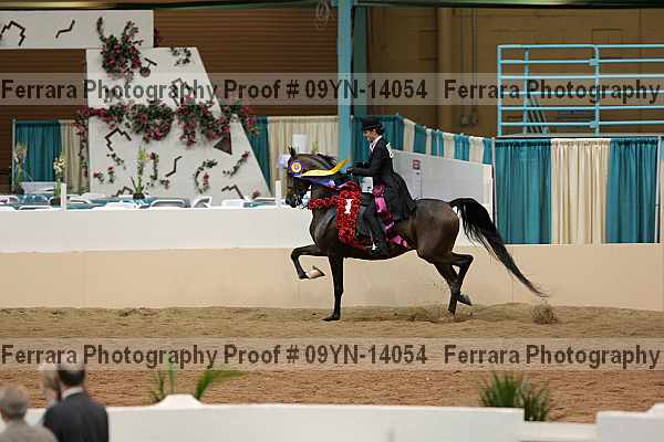 Proof 09yn-14054