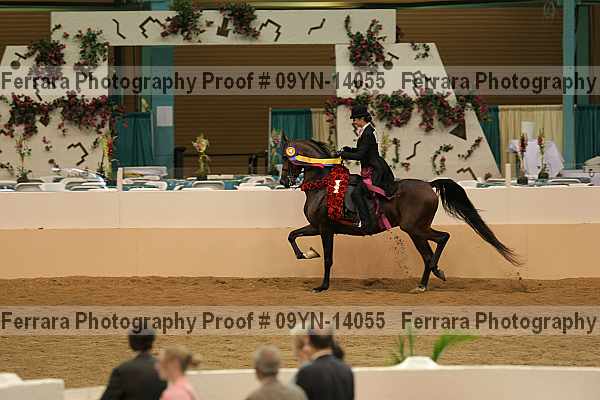Proof 09yn-14055