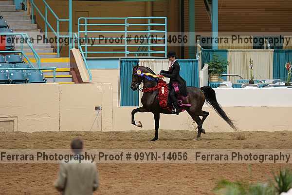 Proof 09yn-14056