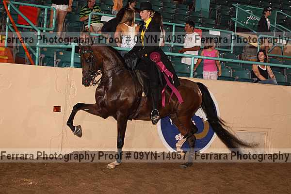 Proof 09yn-14057