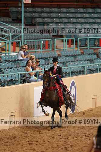 Proof 09yn-14058