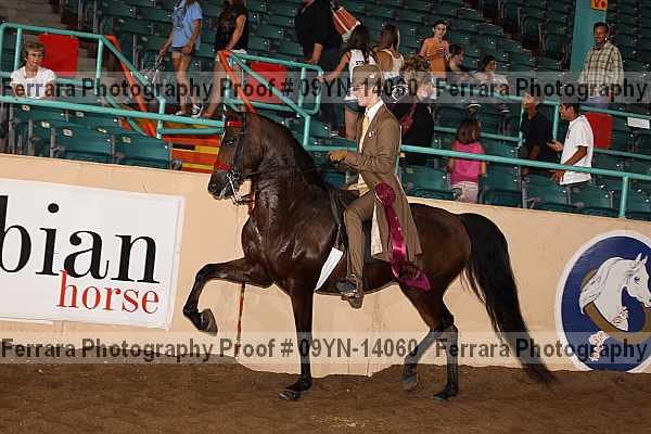 Proof 09yn-14060