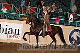 09yn-14060 proof
